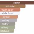 tom-ford-ombre-leather