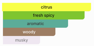 light_blue_dolce_gabbana